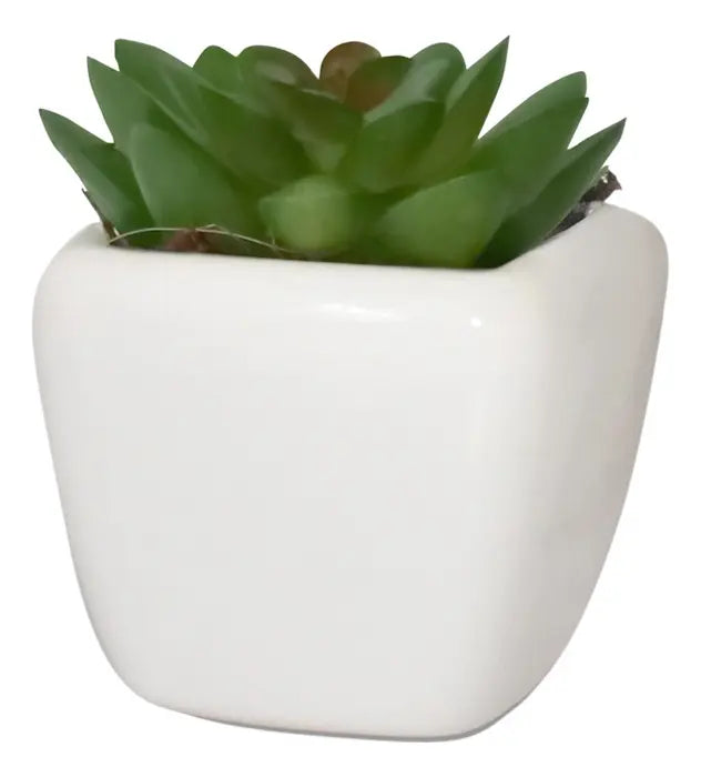 Arranjo Suculenta 9CM C/ Vaso Ceramica