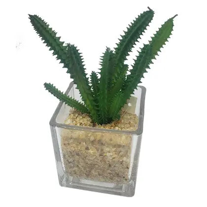 Arranjo Suculenta 15CM C Vaso Vidro