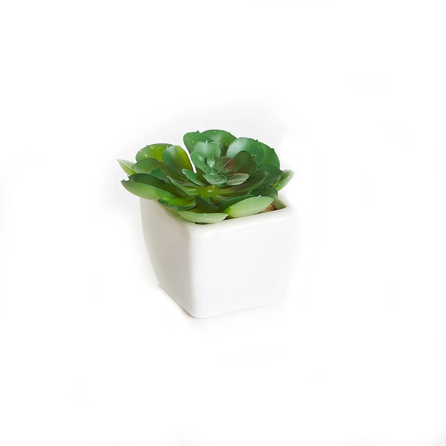 Arranjo Suculenta 9CM C/ Vaso Ceramica