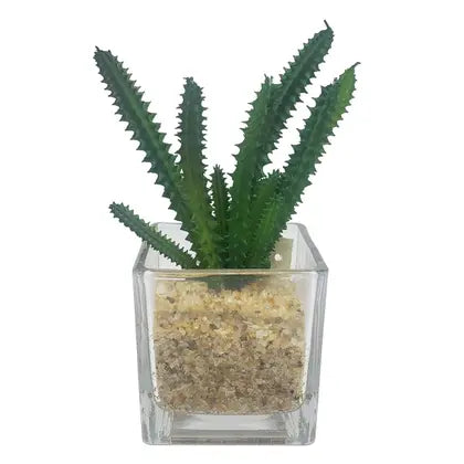 Arranjo Suculenta 15CM C Vaso Vidro